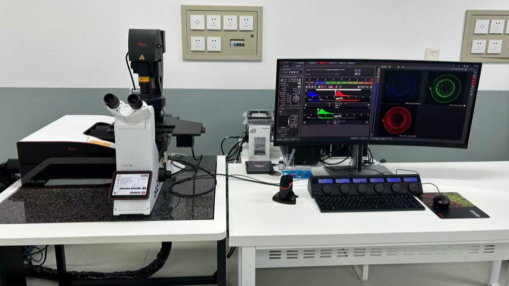 激光共聚焦显微镜